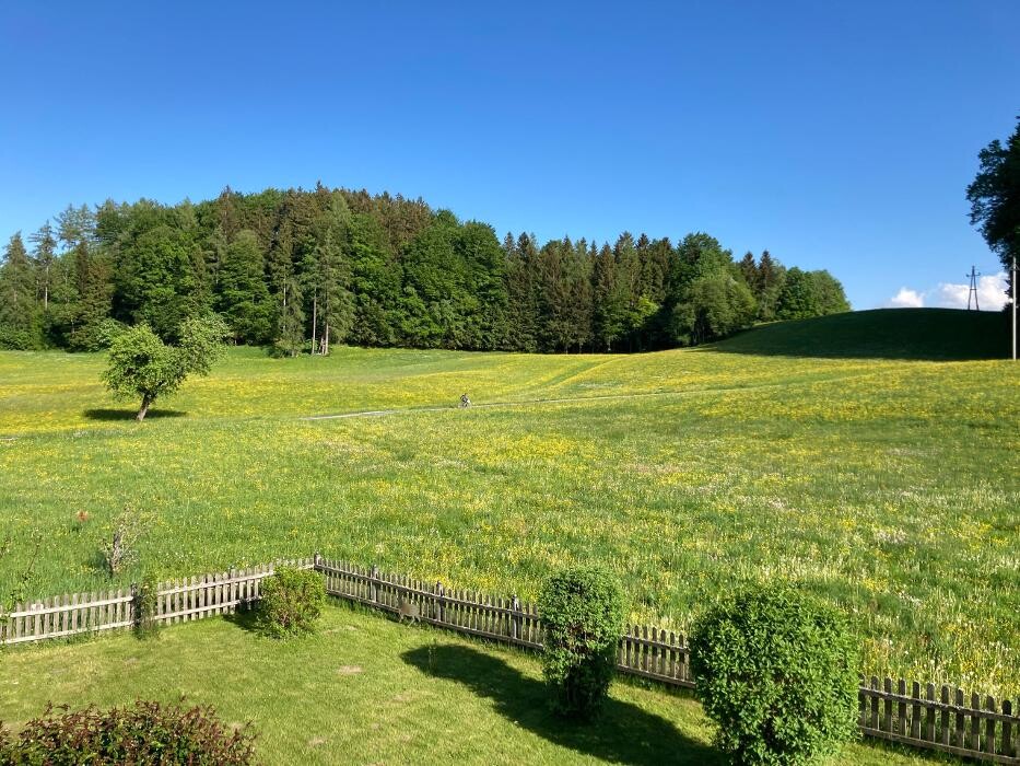 Bilder Obereggut - Hof bei Salzburg