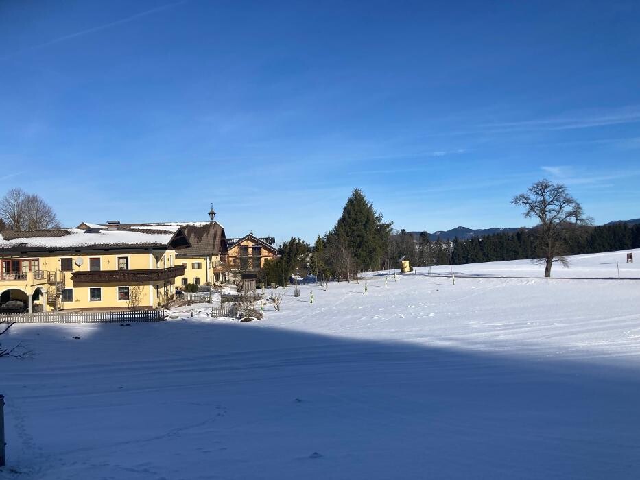 Bilder Obereggut - Hof bei Salzburg