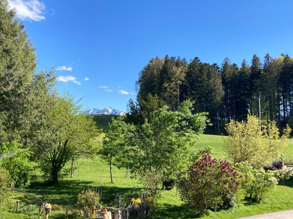 Bilder Obereggut - Hof bei Salzburg