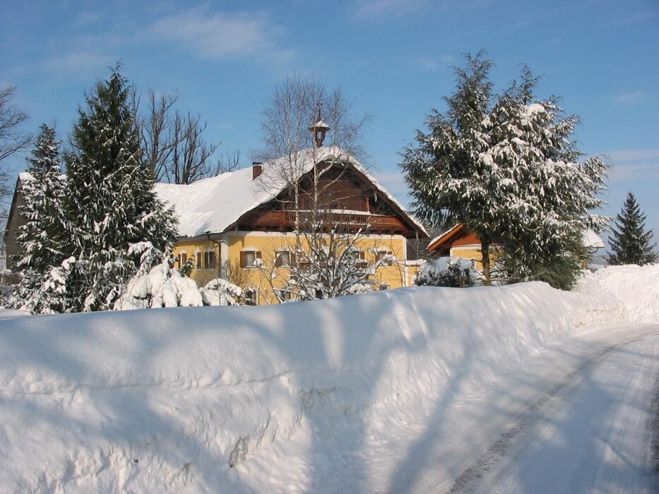 Bilder Obereggut - Hof bei Salzburg