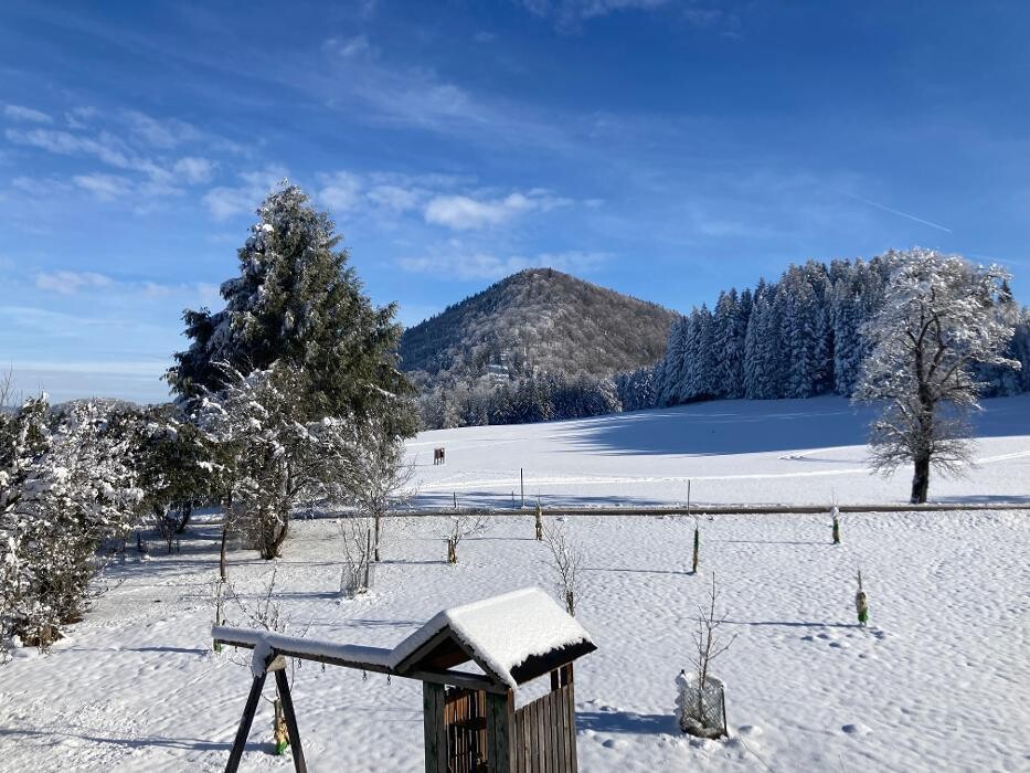 Bilder Obereggut - Hof bei Salzburg
