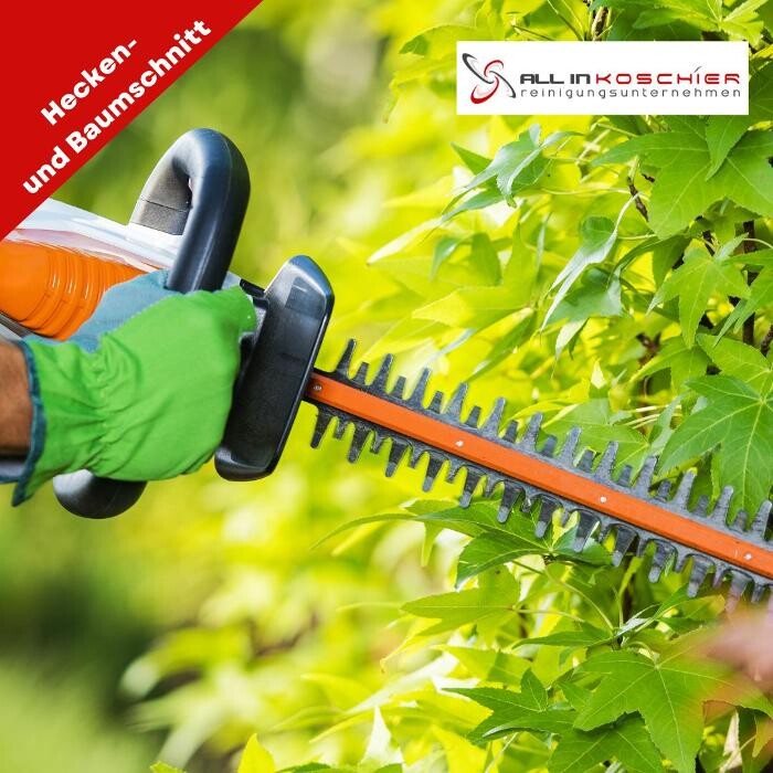 Bilder All in Koschier Reinigungsunternehmen