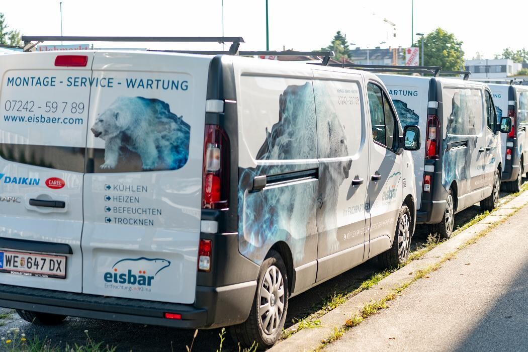 Bilder eisbär Dry-Tec Entfeuchtung und Klima GmbH