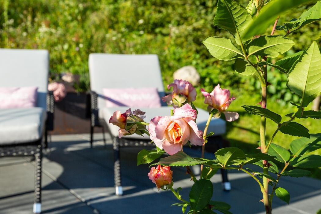 Bilder Boutiquehotel Bergvilla