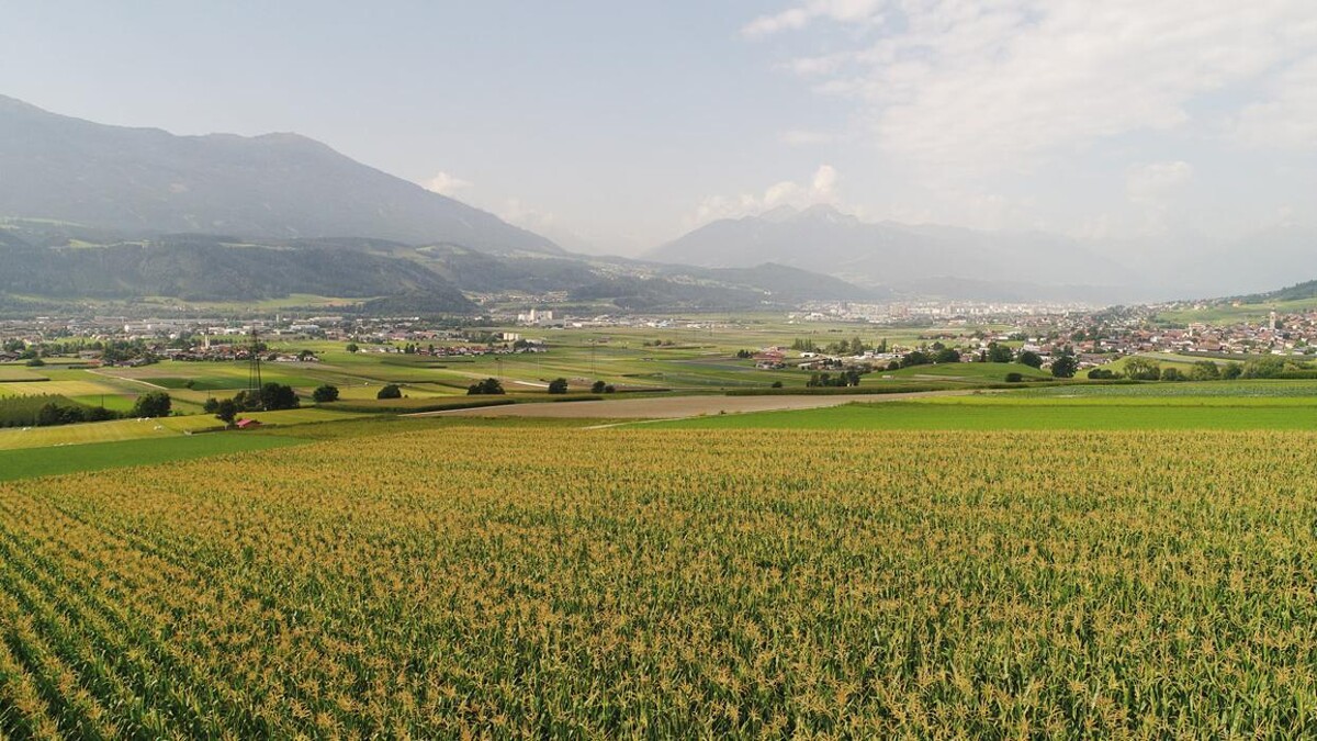 Bilder Hofladen Vinschgerhof - Eier Milch Fleisch Obst Gemüse Absam Innsbruck