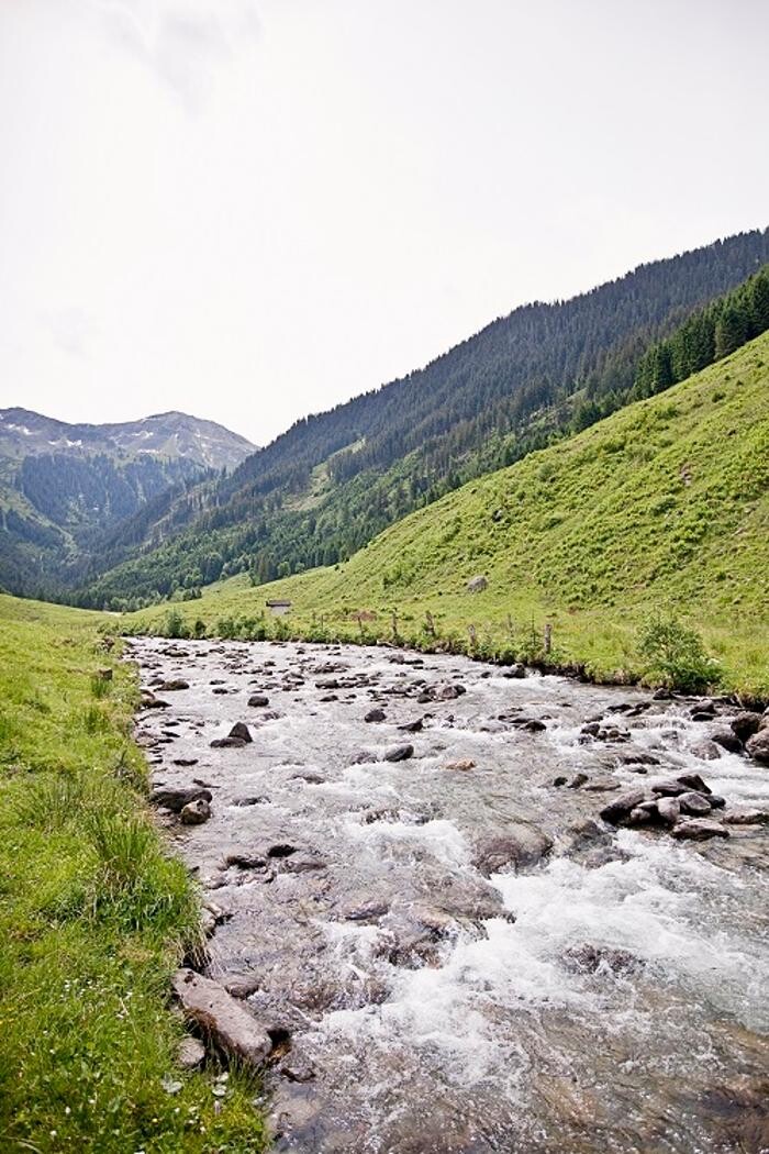 Bilder Niederkaseralm Almkäserei - Käse Joghurt Milch und Butter Kelchsau Brixental