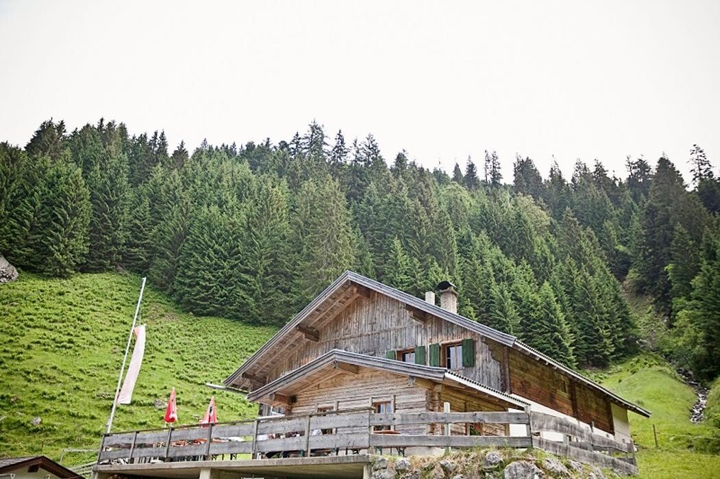 Bilder Niederkaseralm Almkäserei - Käse Joghurt Milch und Butter Kelchsau Brixental