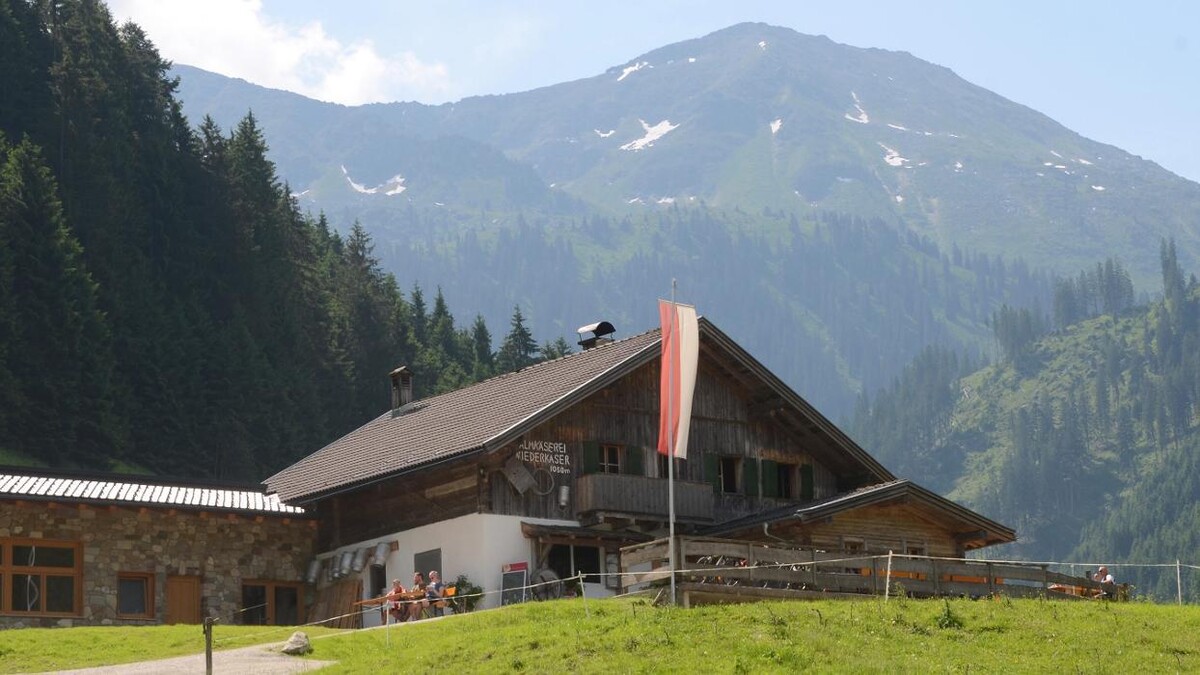 Bilder Niederkaseralm Almkäserei - Käse Joghurt Milch und Butter Kelchsau Brixental