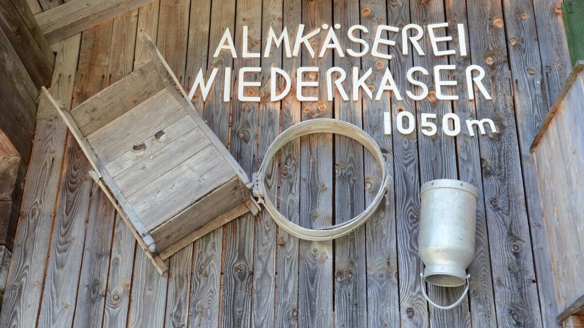 Bilder Niederkaseralm Almkäserei - Käse Joghurt Milch und Butter Kelchsau Brixental