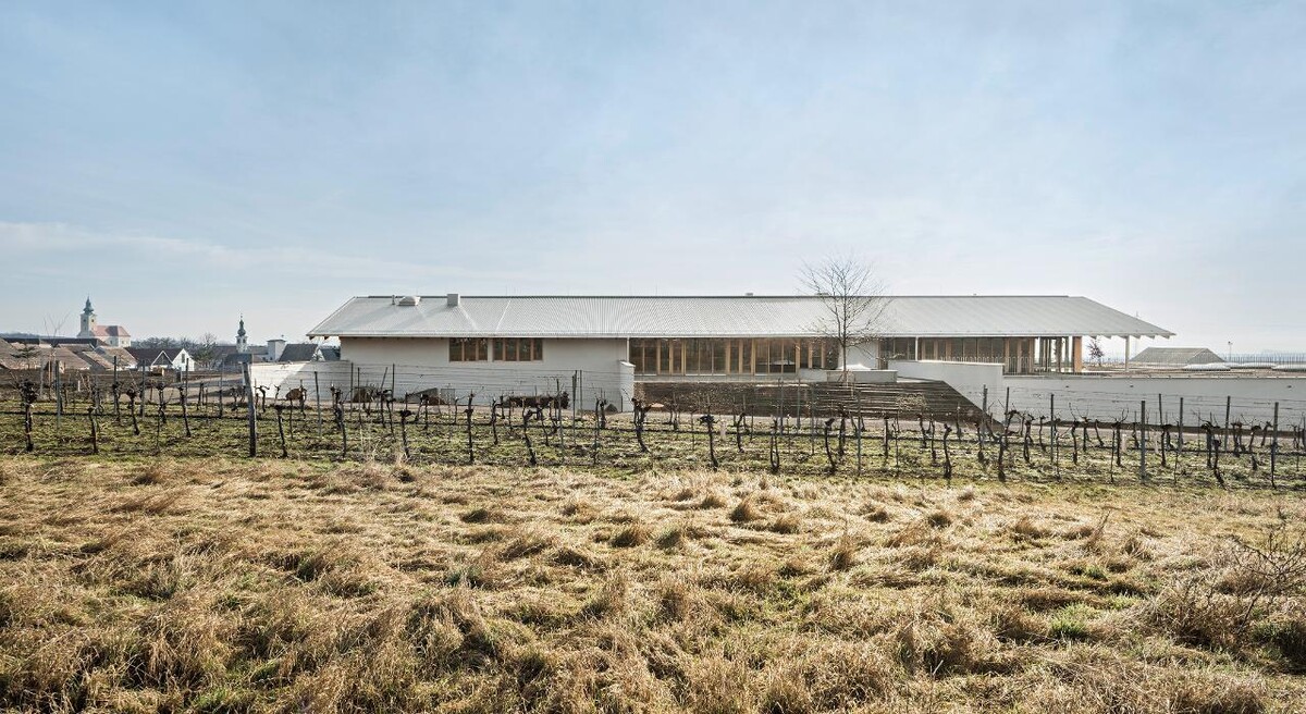 Bilder Bioweingut Gruber Röschitz