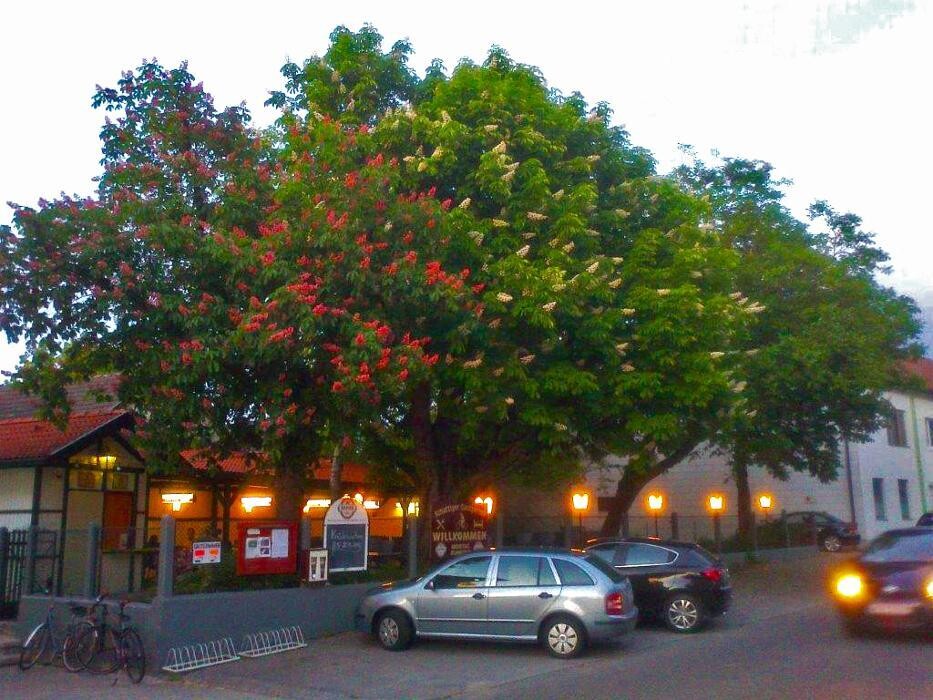 Bilder Gasthof Nusserl