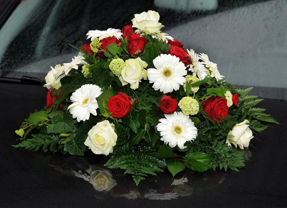 Bilder WAMA Flower Flow - Maria Wagner