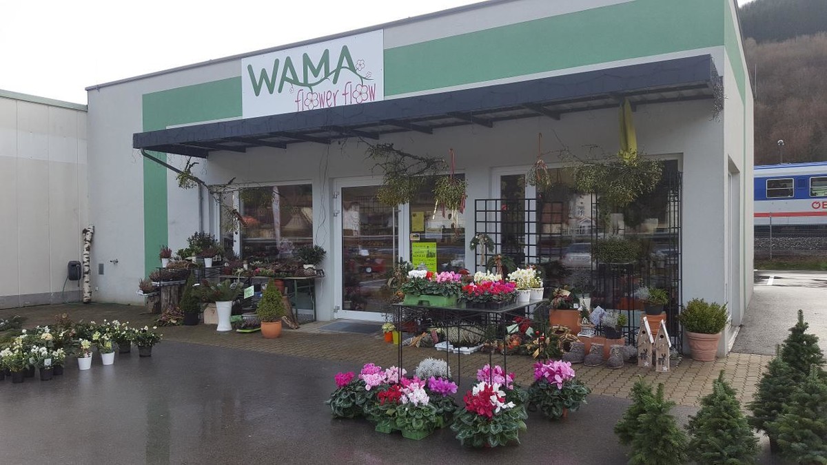 Bilder WAMA Flower Flow - Maria Wagner
