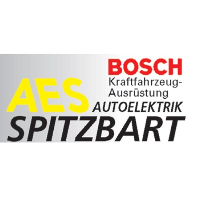 Bilder Autoelektrik Spitzbart