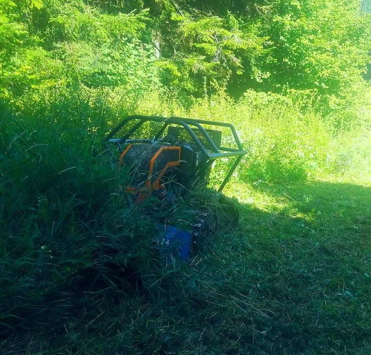 Bilder Haberl - Böschungspflege