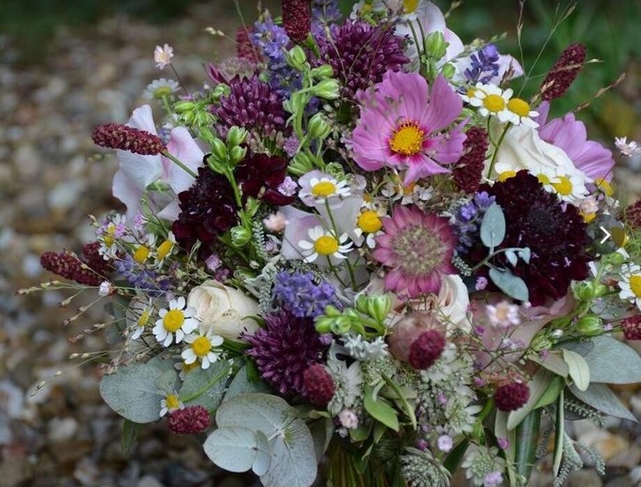 Bilder Natur Stube KG