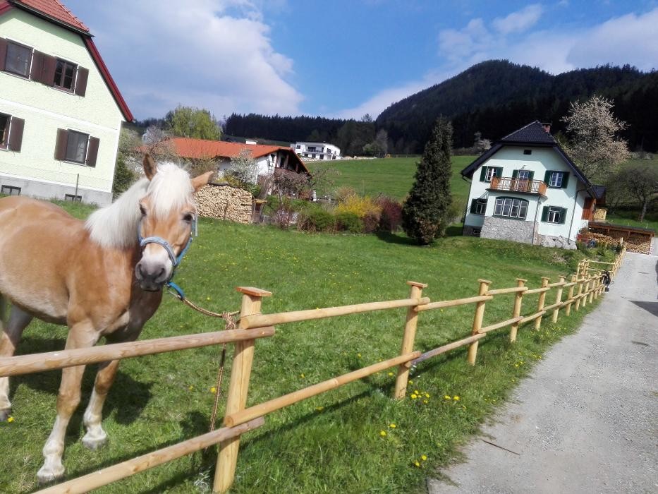 Bilder Ennstaler Rundholz - Holzprodukte