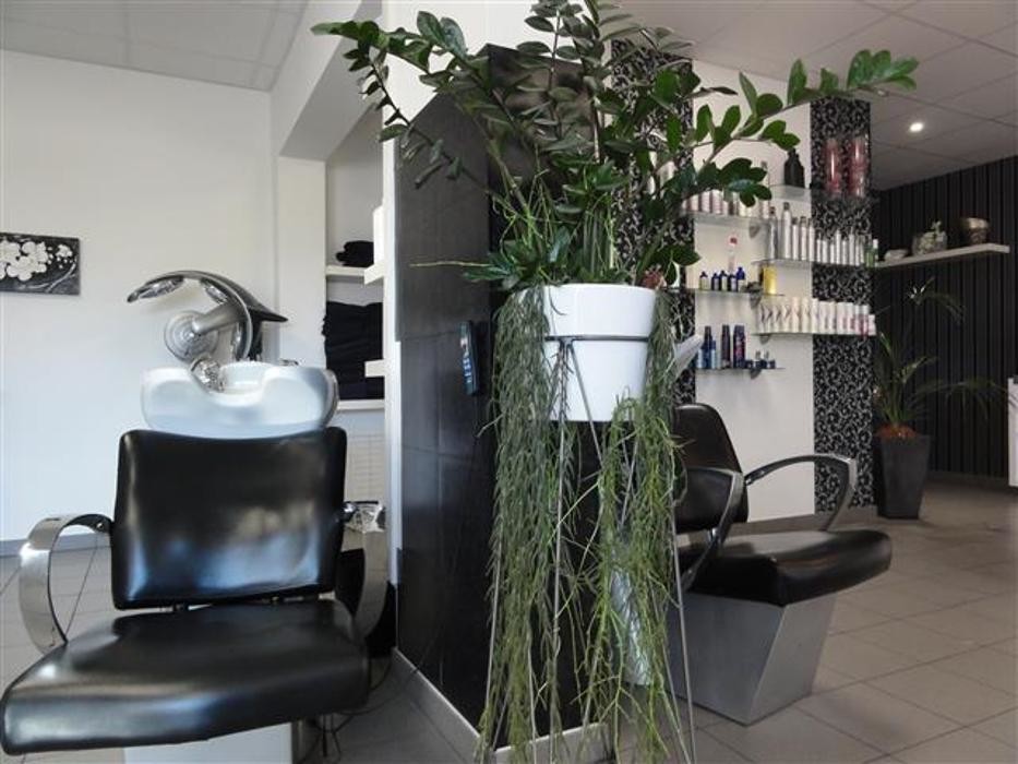 Bilder Friseur Renate Siedl