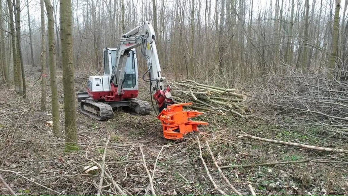 Bilder Erdbau & Baumschnitt Schmatz