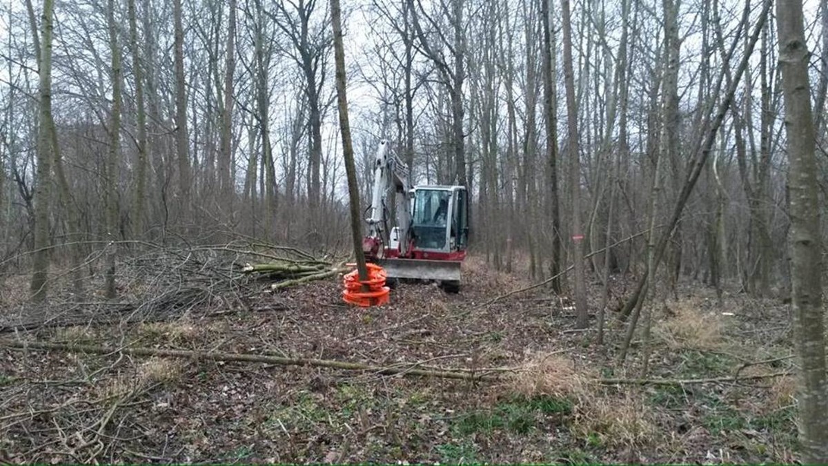 Bilder Erdbau & Baumschnitt Schmatz