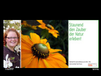 Screenshot for http://www.gruenplanung.at/