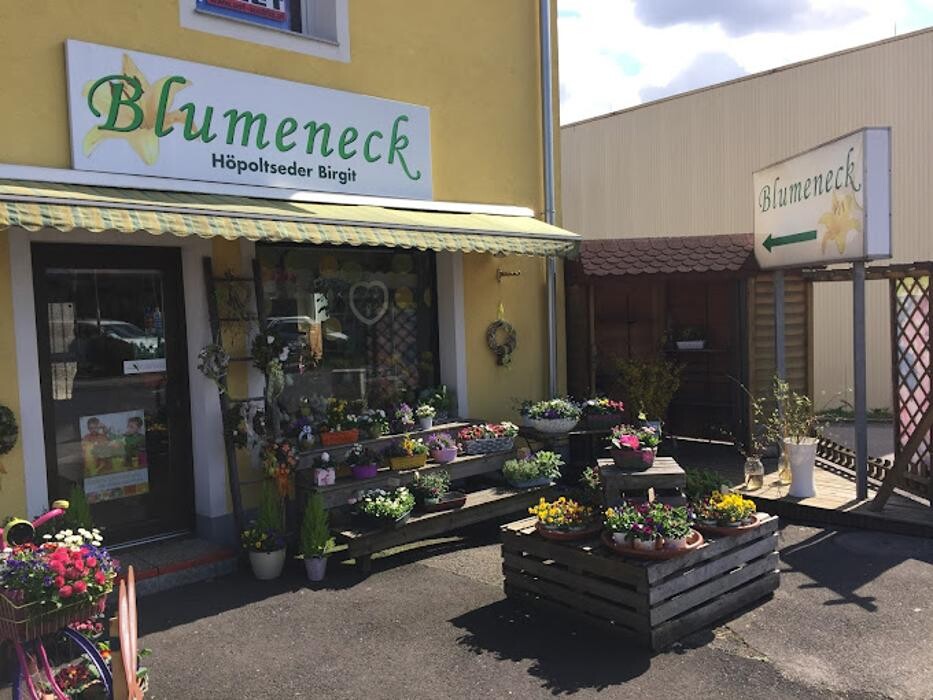 Bilder Birgit Höpoltseder - Blumeneck