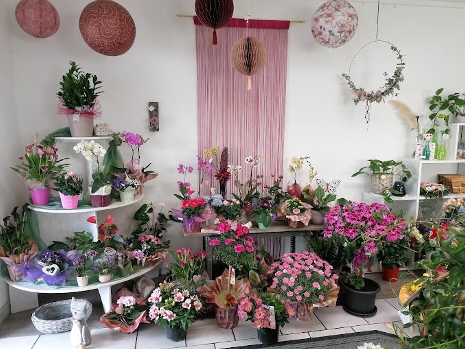 Bilder Birgit Höpoltseder - Blumeneck