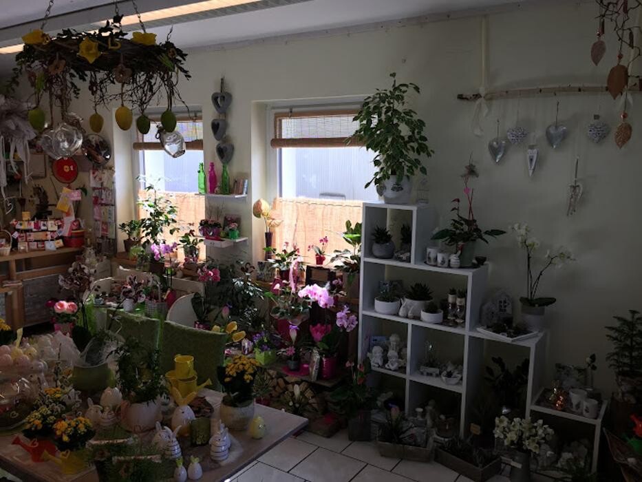 Bilder Birgit Höpoltseder - Blumeneck