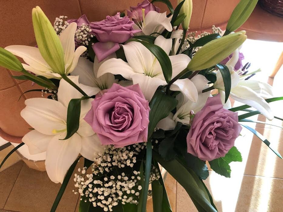 Bilder Birgit Höpoltseder - Blumeneck