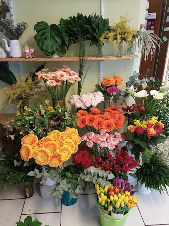 Bilder Birgit Höpoltseder - Blumeneck