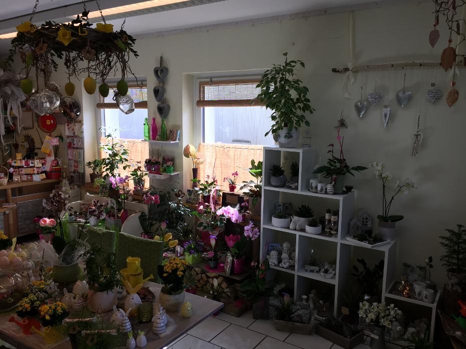 Bilder Birgit Höpoltseder - Blumeneck