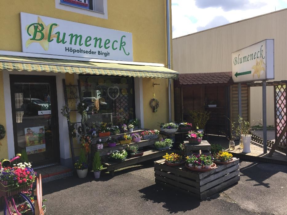 Bilder Birgit Höpoltseder - Blumeneck