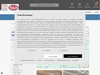 Website Screenshot Hervis Wels Max. Center