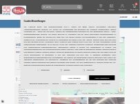 Website Screenshot Hervis Haid