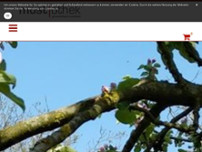 MOSTOTHEK - Gerlinde & Karl PENETSDORFER website screenshot