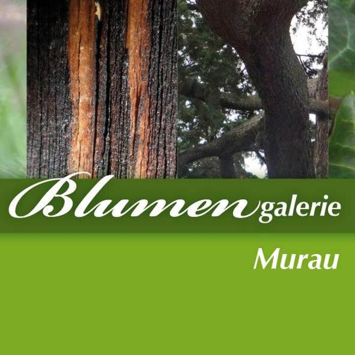 Bilder Blumengalerie Murau - Anneliese Kubli