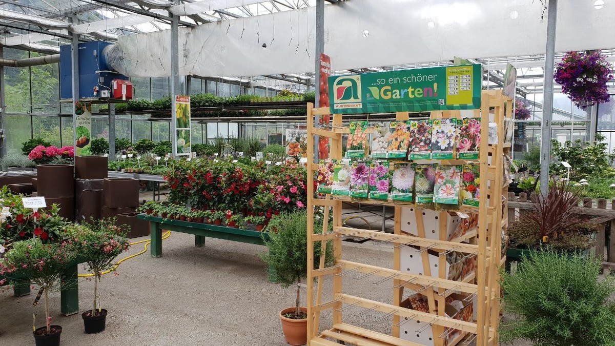 Bilder Gartenbau- Floristik Tauderer Markus