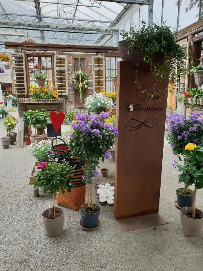Bilder Gartenbau- Floristik Tauderer Markus
