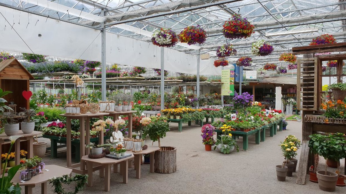 Bilder Gartenbau- Floristik Tauderer Markus