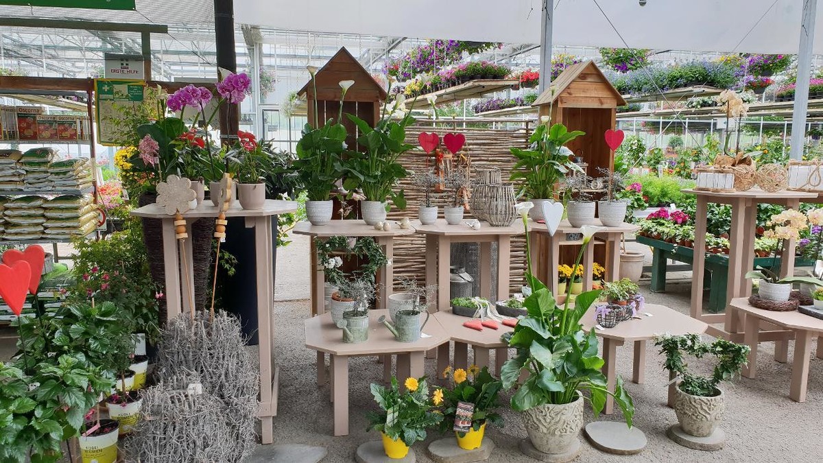 Bilder Gartenbau- Floristik Tauderer Markus