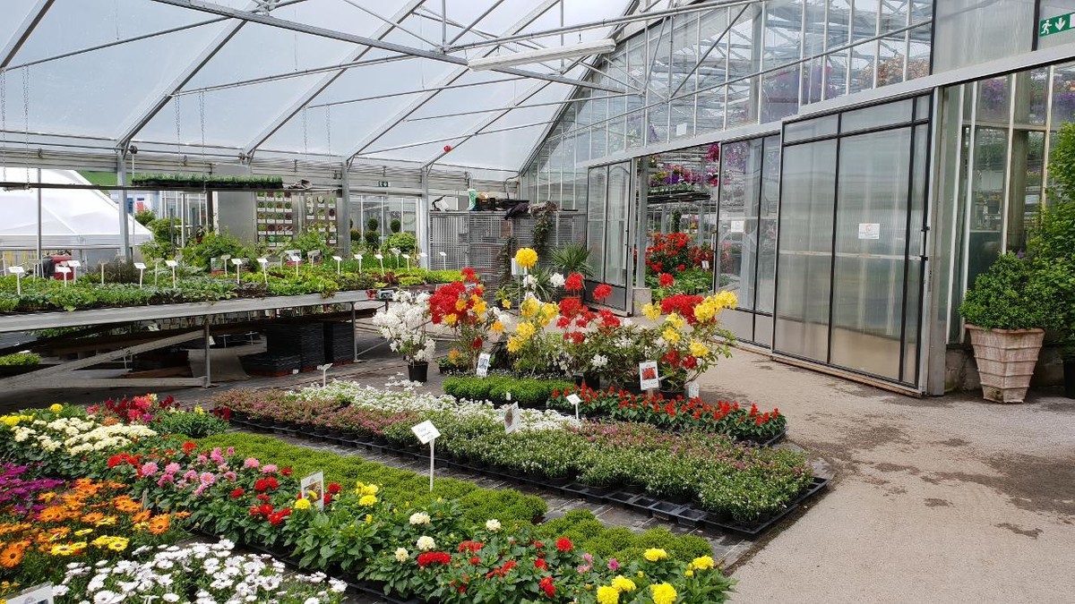 Bilder Gartenbau- Floristik Tauderer Markus
