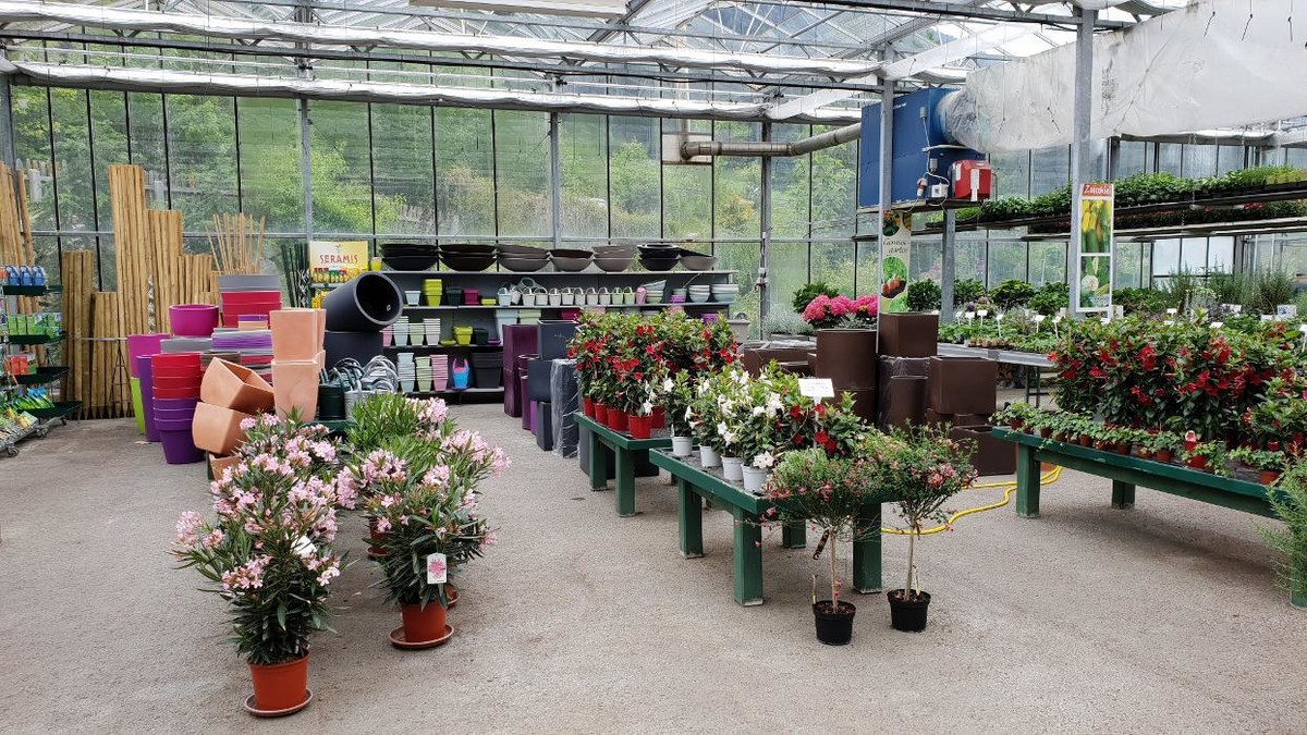 Bilder Gartenbau- Floristik Tauderer Markus