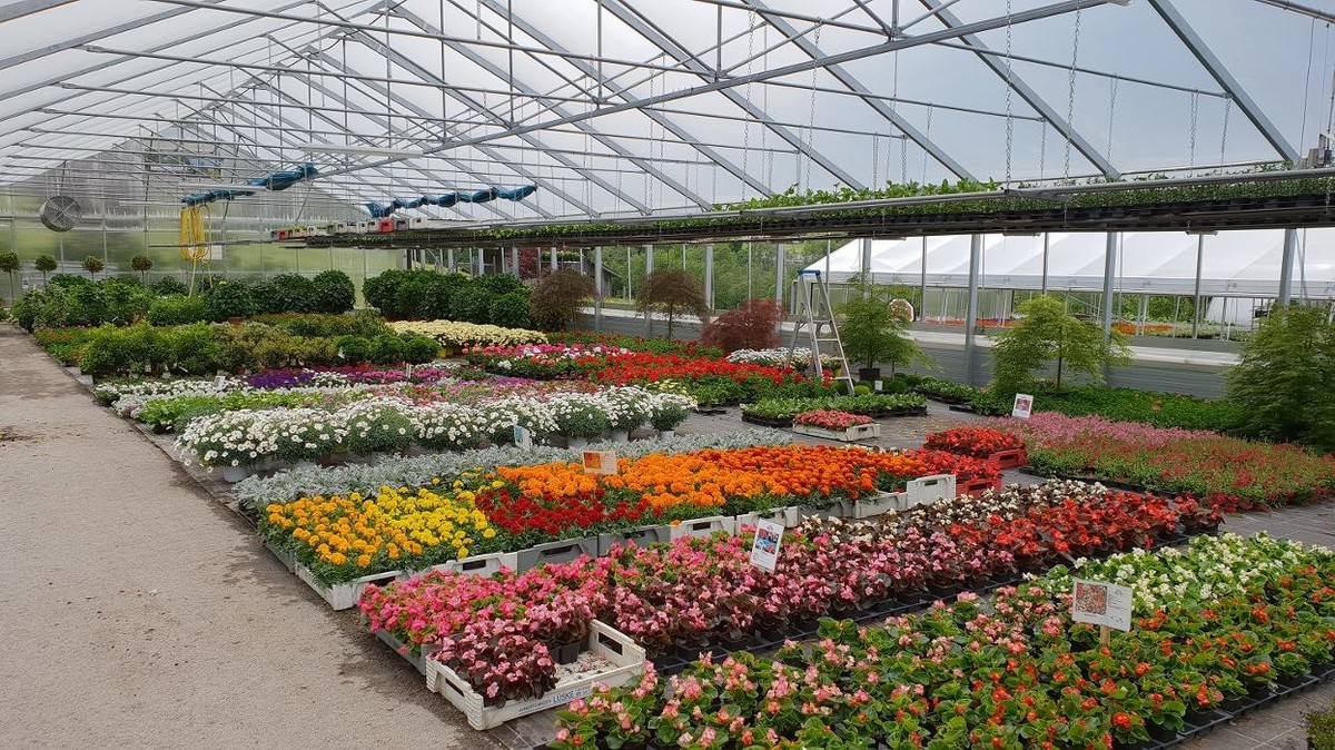 Bilder Gartenbau- Floristik Tauderer Markus