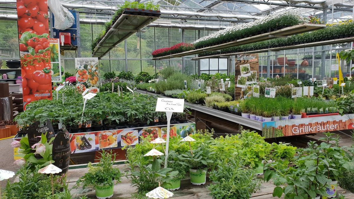 Bilder Gartenbau- Floristik Tauderer Markus