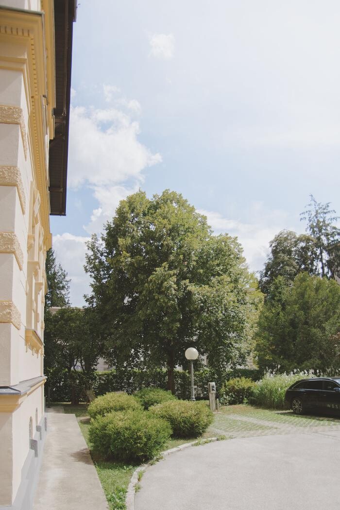 Bilder WESEO Digitalagentur