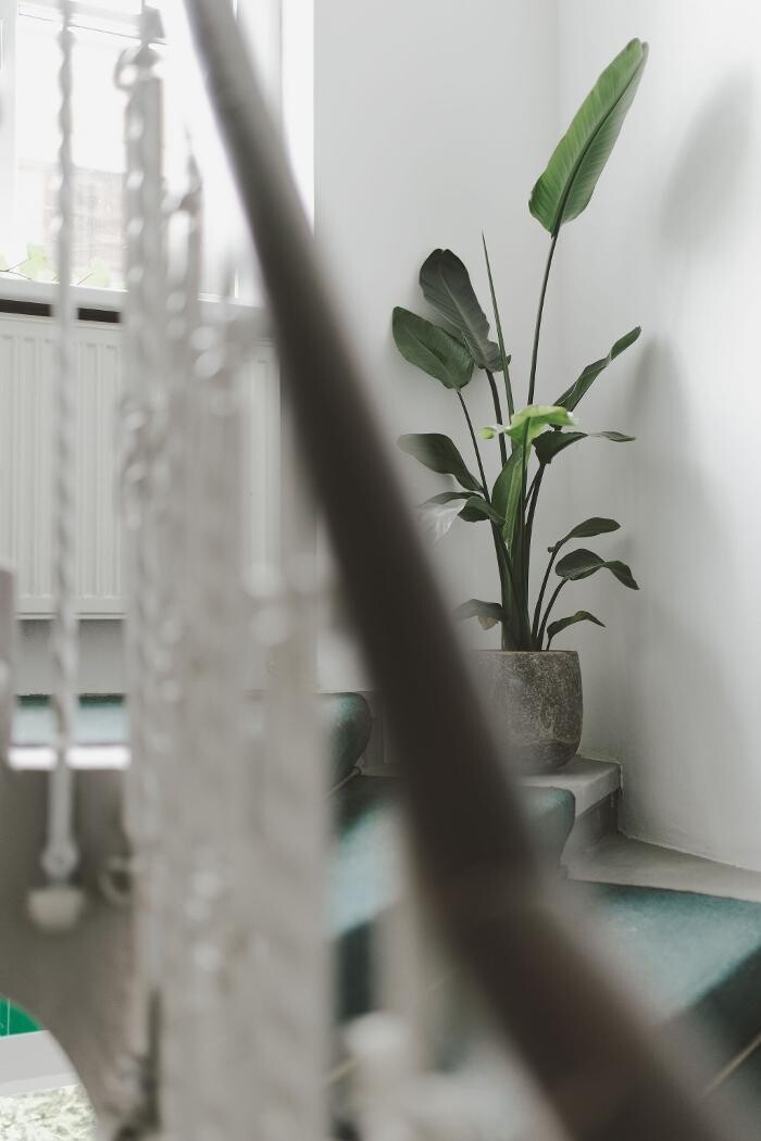 Bilder WESEO Digitalagentur
