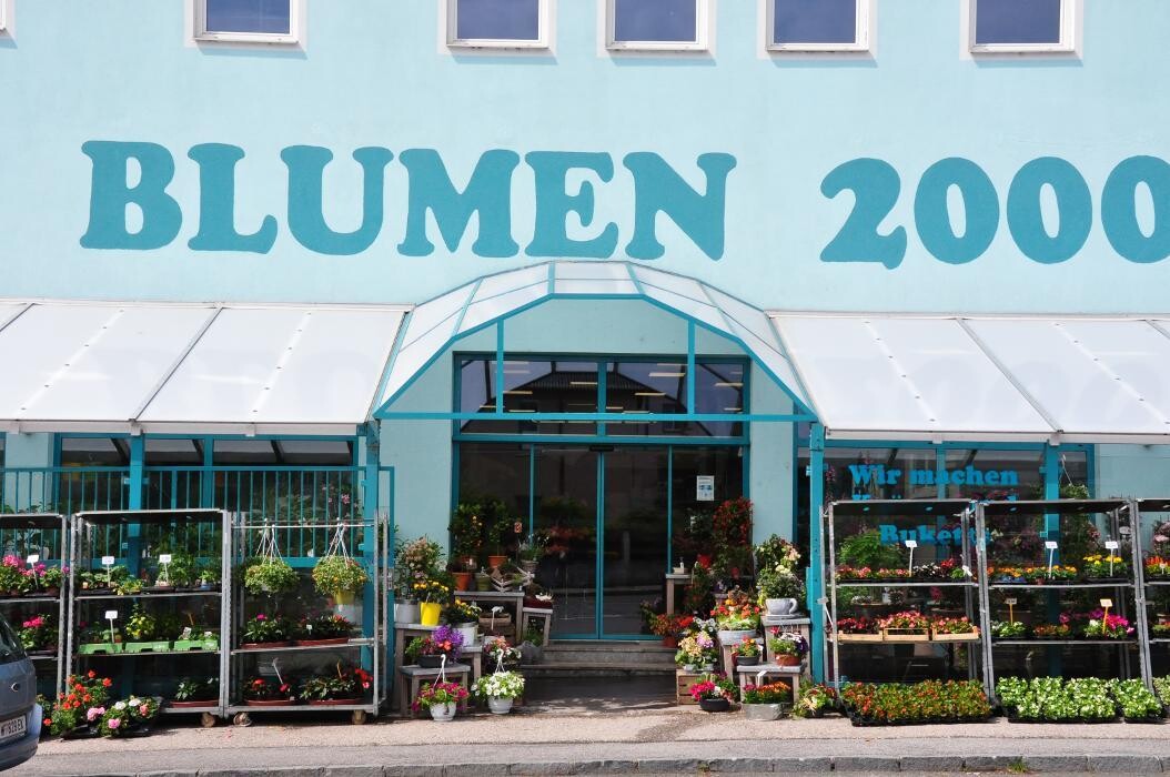 Blumen 2000 Blumen Einzelhandel in Eisenstadt Rusterstrae 24