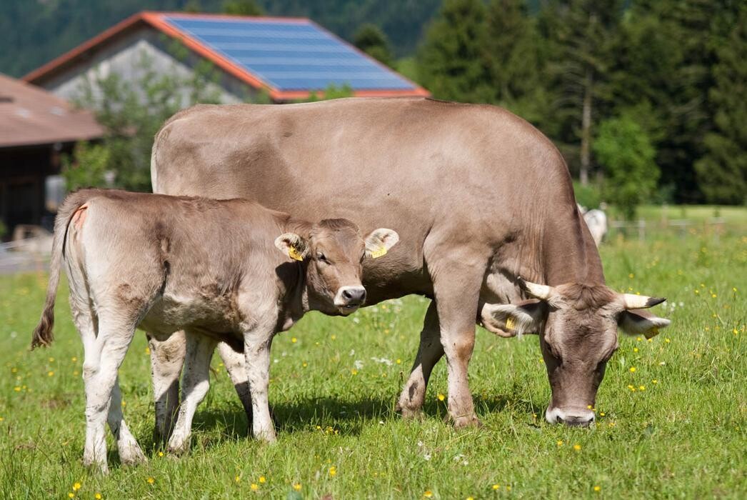 Bilder Martinshof