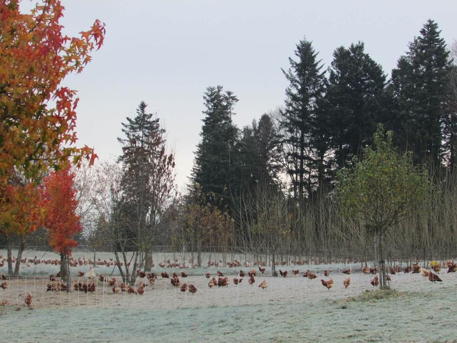 Bilder Martinshof