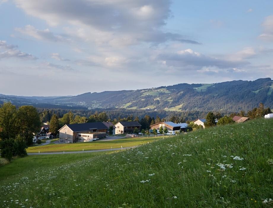 Bilder Martinshof